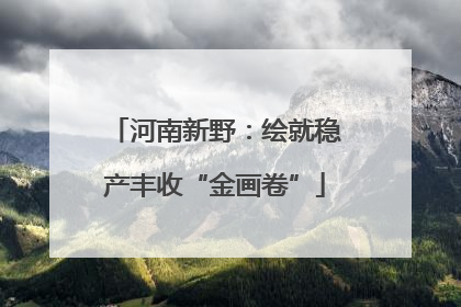河南新野：绘就稳产丰收“金画卷”